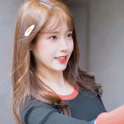 功夫梦:融合之道