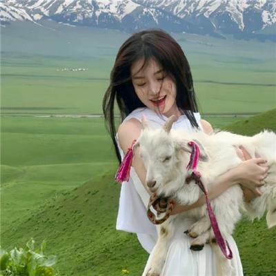 破镜谋杀案